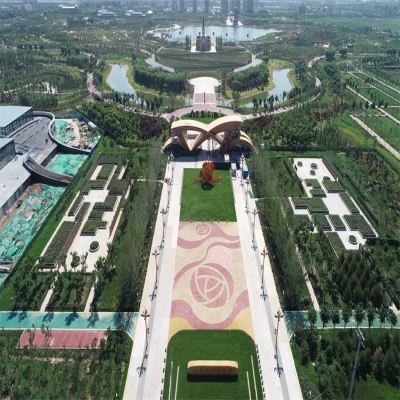 九州洼月季公园